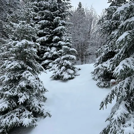 Natalie - Panorama Mit Bergblick, Semmering 斯坦豪斯阿赛姆瑞