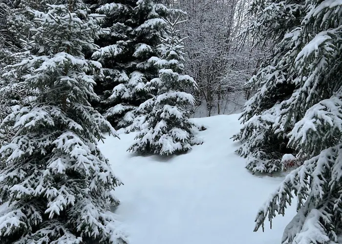 Natalie - Panorama Mit Bergblick, Semmering Steinhaus am Semmering